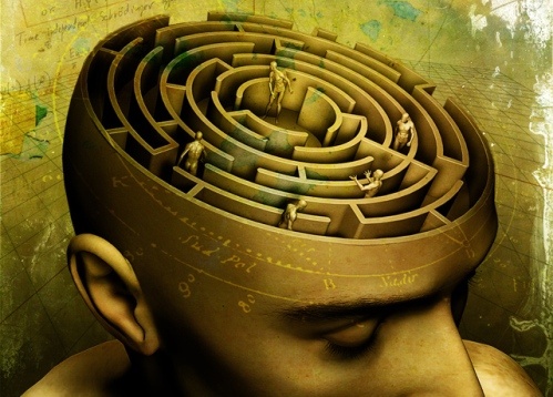 Infographic Tim Draper Riskmastering Inside the VC’s Mind 1